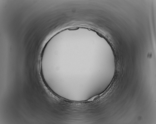 X0000097641520200803281112