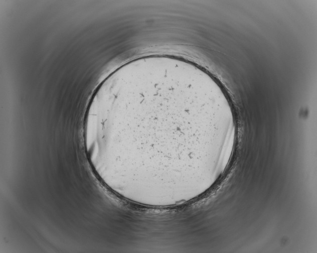 X0000097641521200803281112