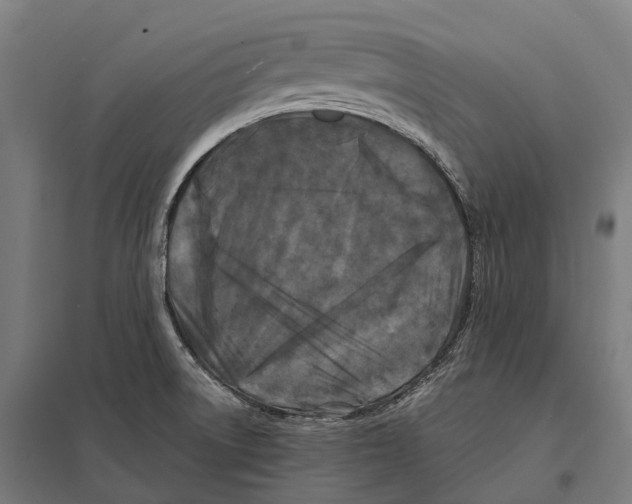 X0000097641522200803281112