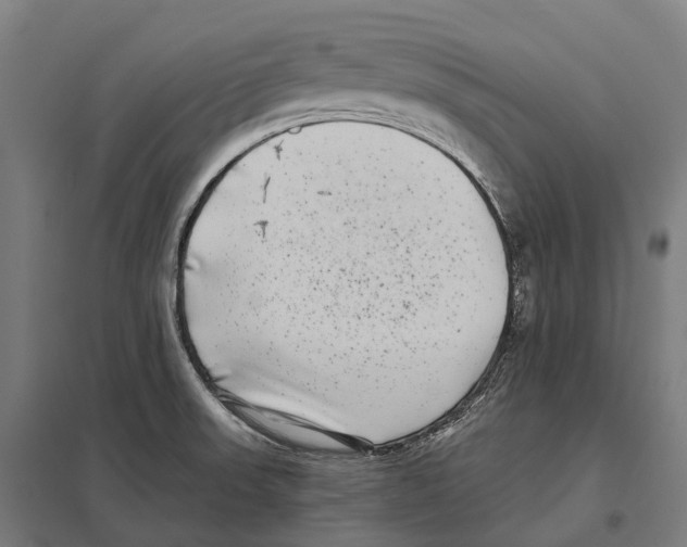 X0000097641523200803281112