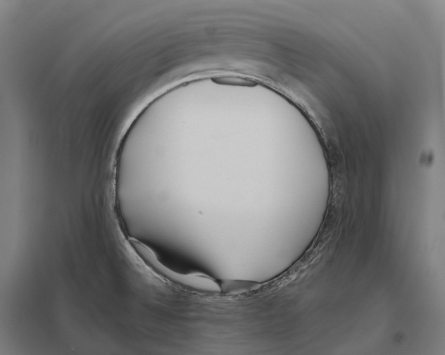 X0000097641524200803281112