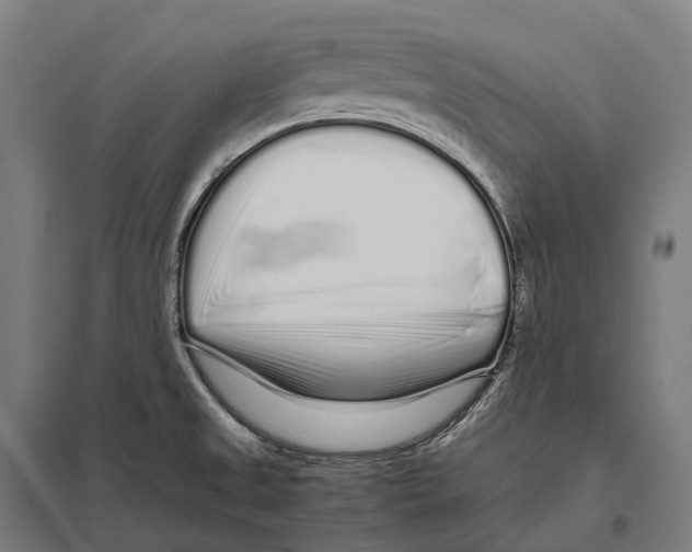 X0000097641525200803281112