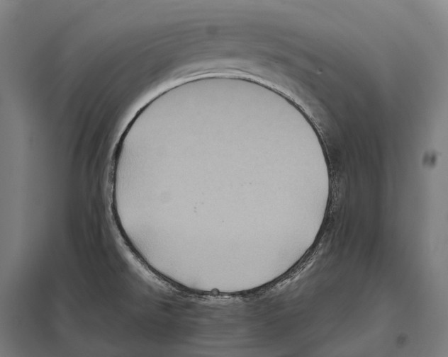 X0000097641526200803281112