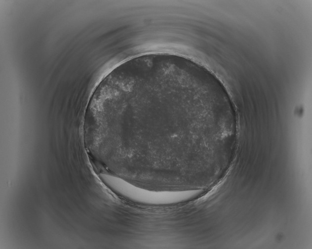 X0000097641529200803281112