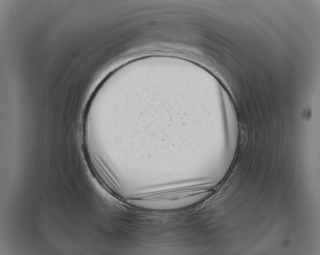 X0000097641531200803281112