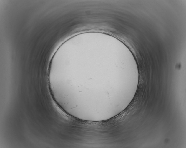 X0000097641532200803281112