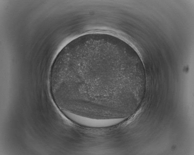 X0000097641533200803281112