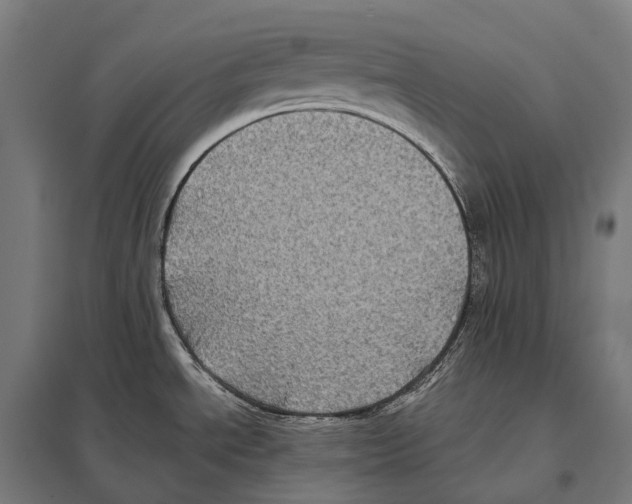 X0000097641534200803281112