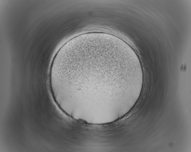 X0000097641536200803281112