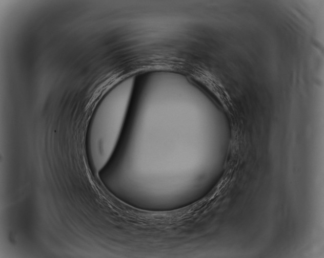 X0000097650001200802290858