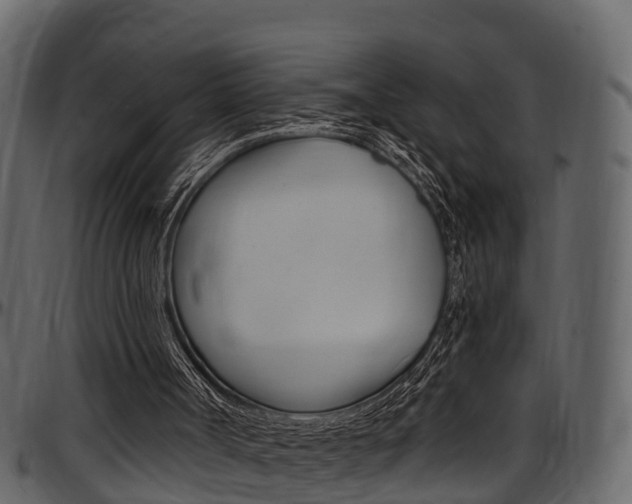 X0000097650002200802290858