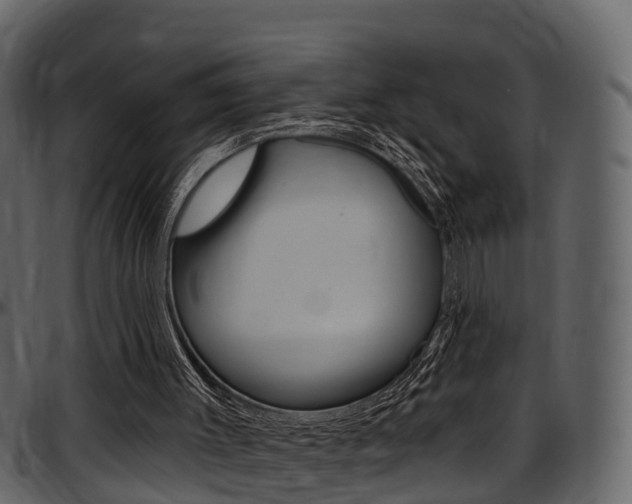 X0000097650003200802290858