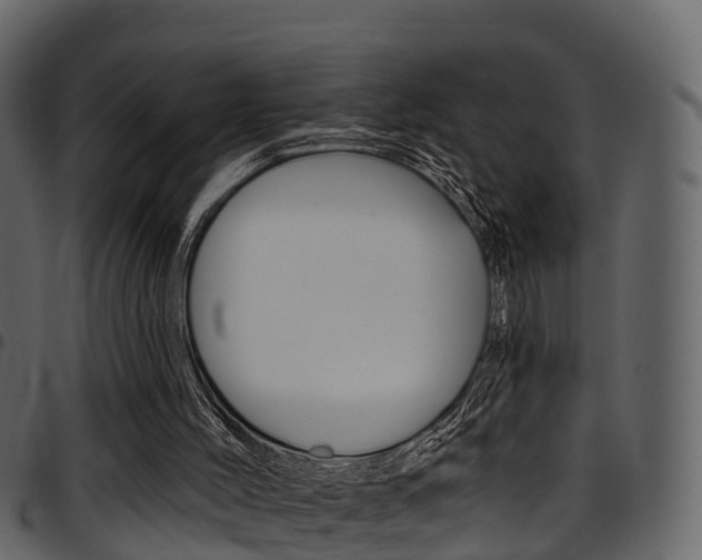 X0000097650004200802290858