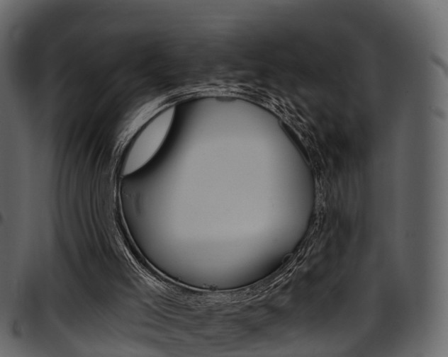 X0000097650005200802290858