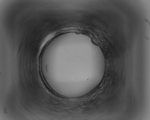 X0000097650006200802290858