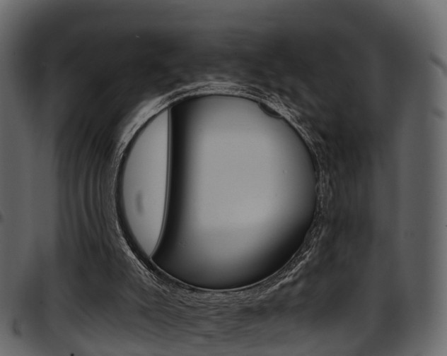 X0000097650007200802290858
