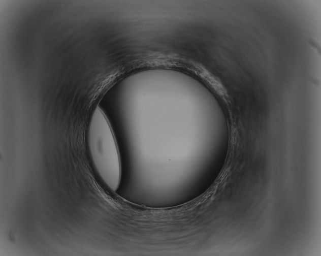 X0000097650009200802290858