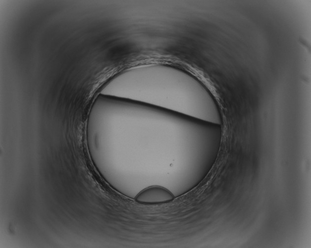 X0000097650010200802290858