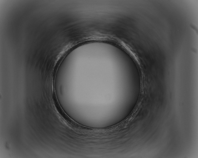 X0000097650011200802290858