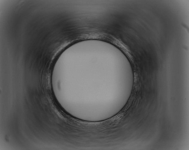 X0000097650012200802290858