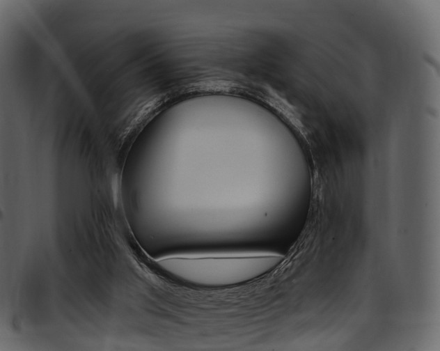 X0000097650013200802290858