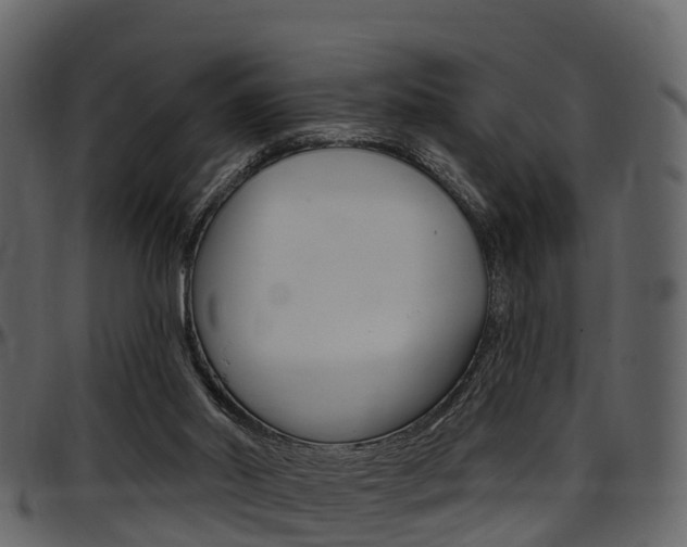 X0000097650014200802290858