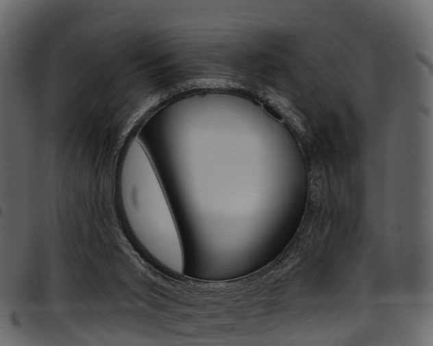 X0000097650015200802290858
