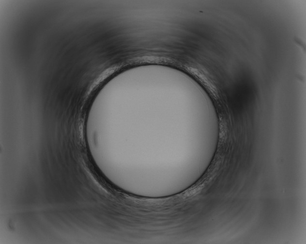 X0000097650016200802290858