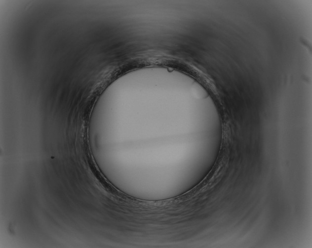 X0000097650018200802290858