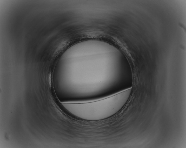 X0000097650019200802290858