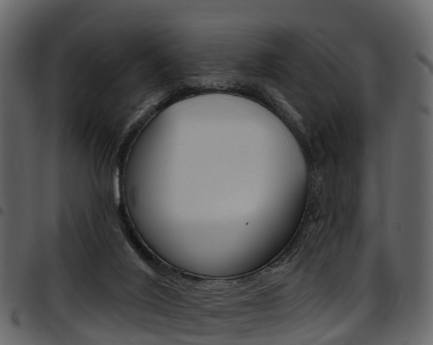 X0000097650020200802290858