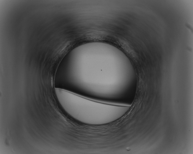 X0000097650021200802290858