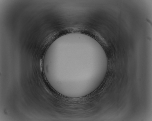X0000097650022200802290858