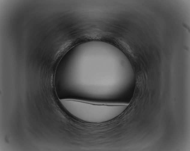 X0000097650023200802290858