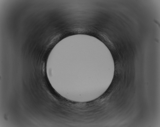 X0000097650024200802290858