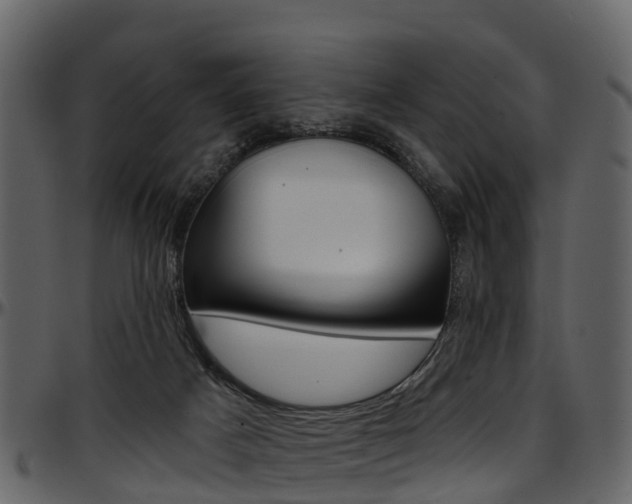 X0000097650025200802290858