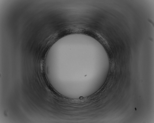 X0000097650026200802290858