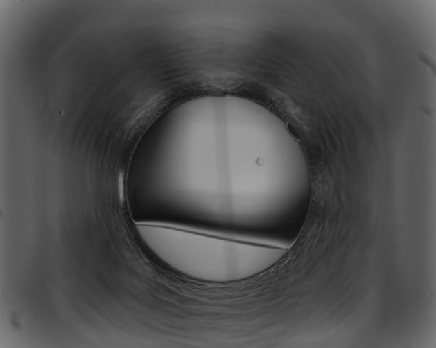 X0000097650027200802290858