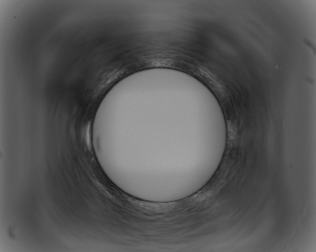 X0000097650028200802290858
