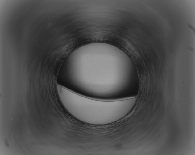 X0000097650029200802290858