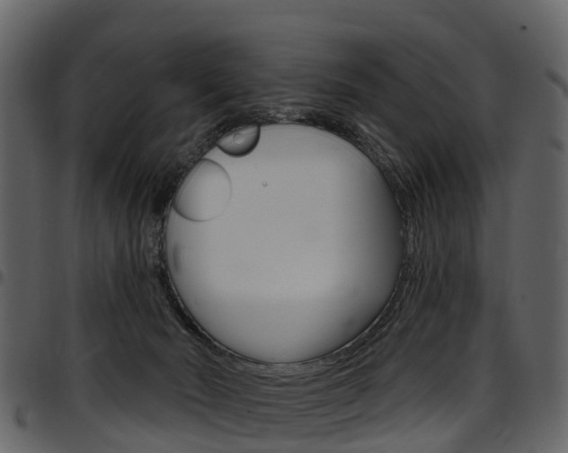 X0000097650030200802290858