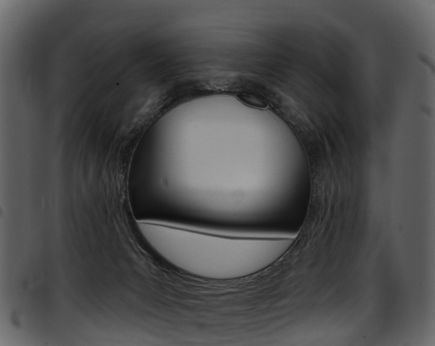 X0000097650031200802290858