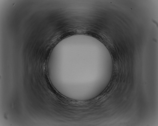 X0000097650032200802290858