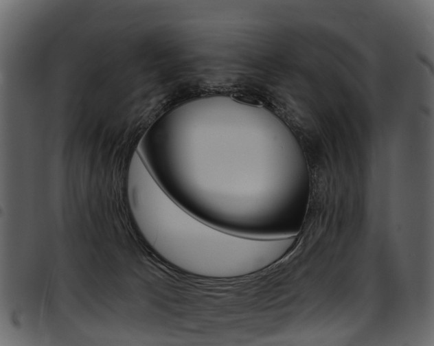 X0000097650033200802290858