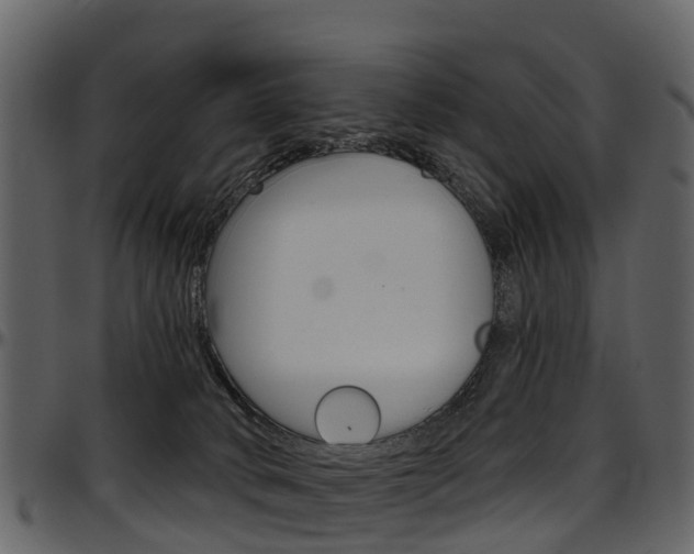 X0000097650034200802290858