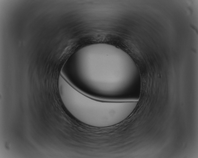 X0000097650035200802290858