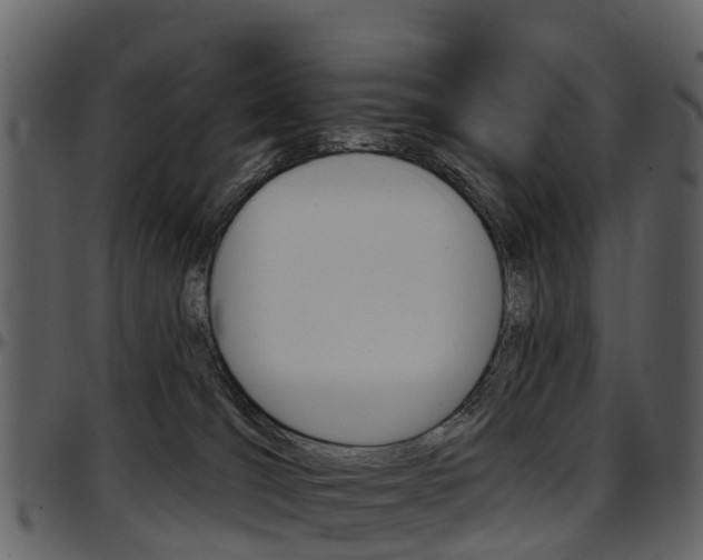 X0000097650036200802290858