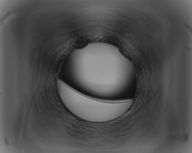 X0000097650037200802290858