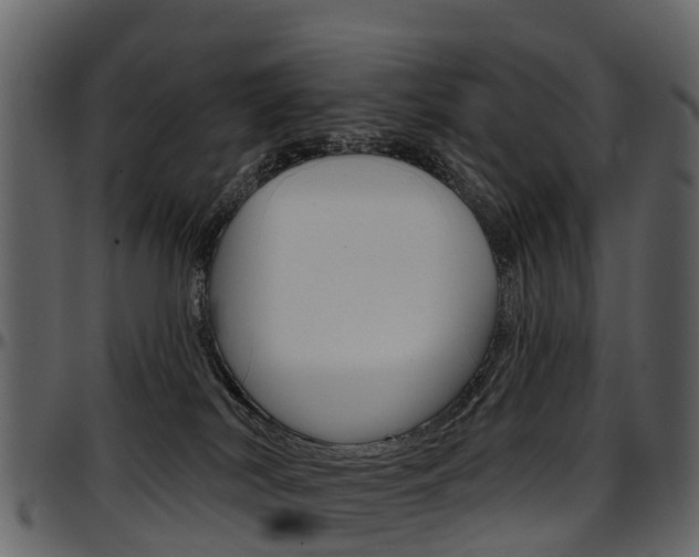 X0000097650038200802290857