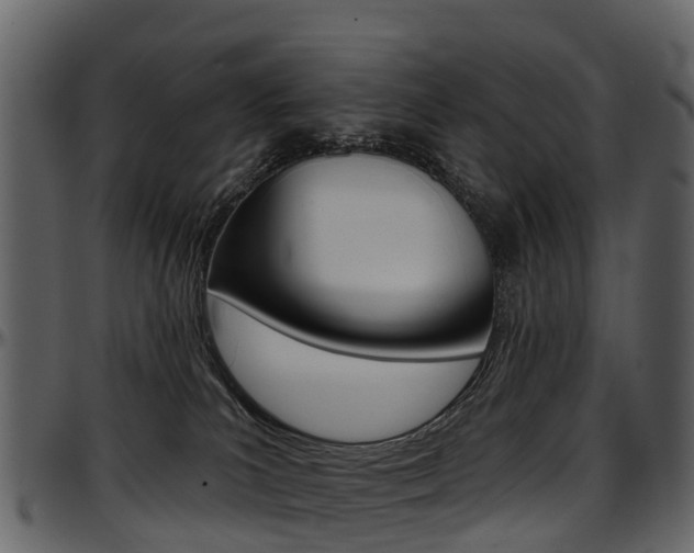 X0000097650039200802290857